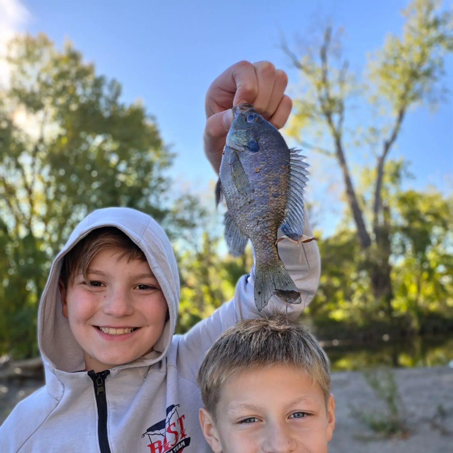 Bluegill caught on Fishbrain