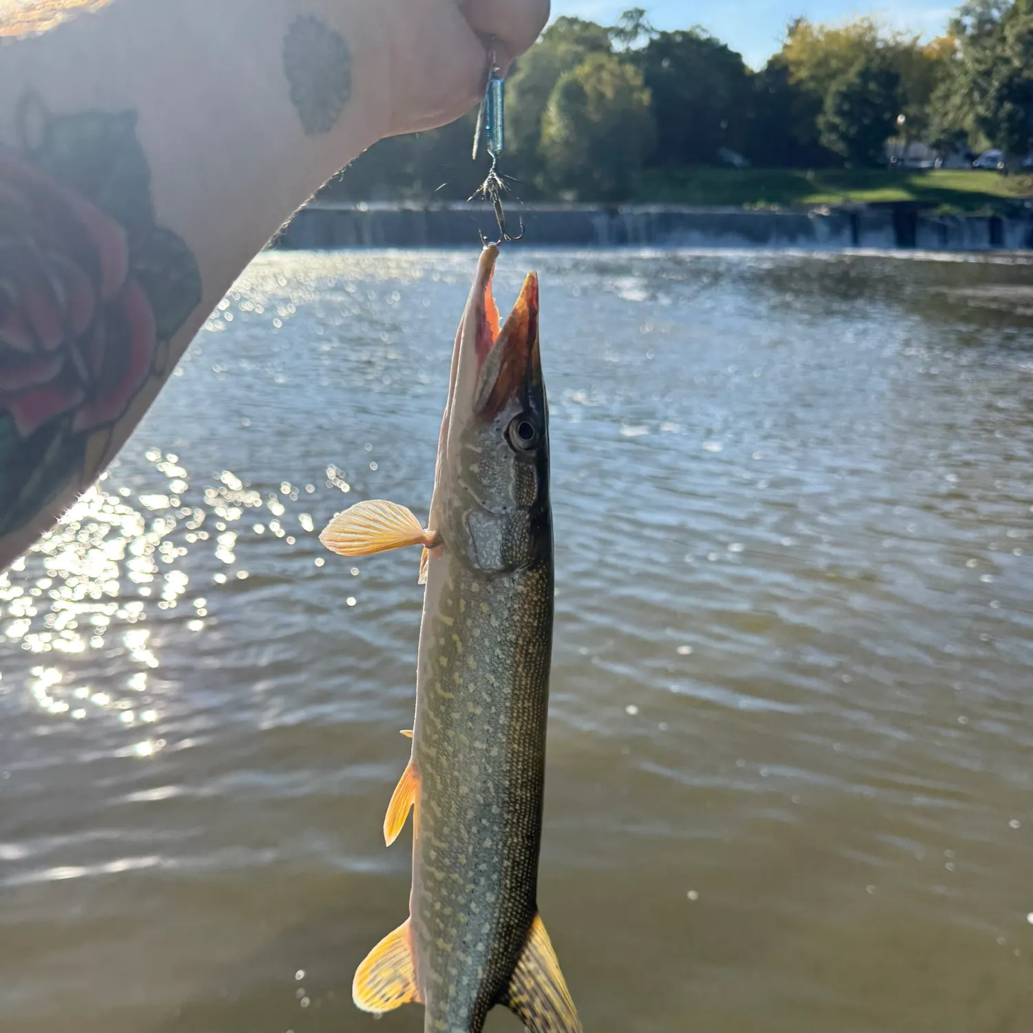 catch