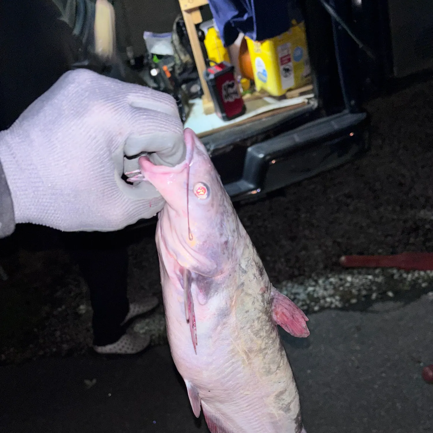 catch