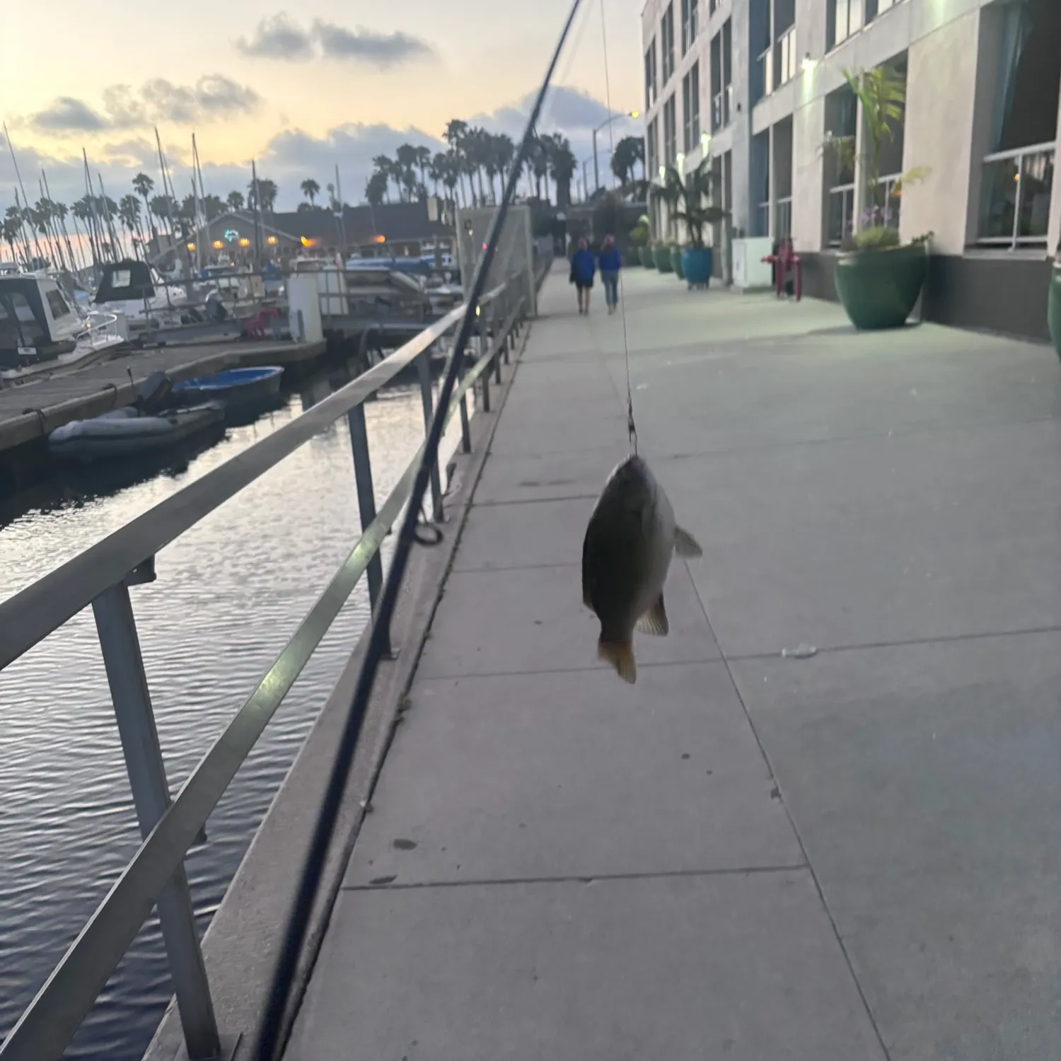 catch