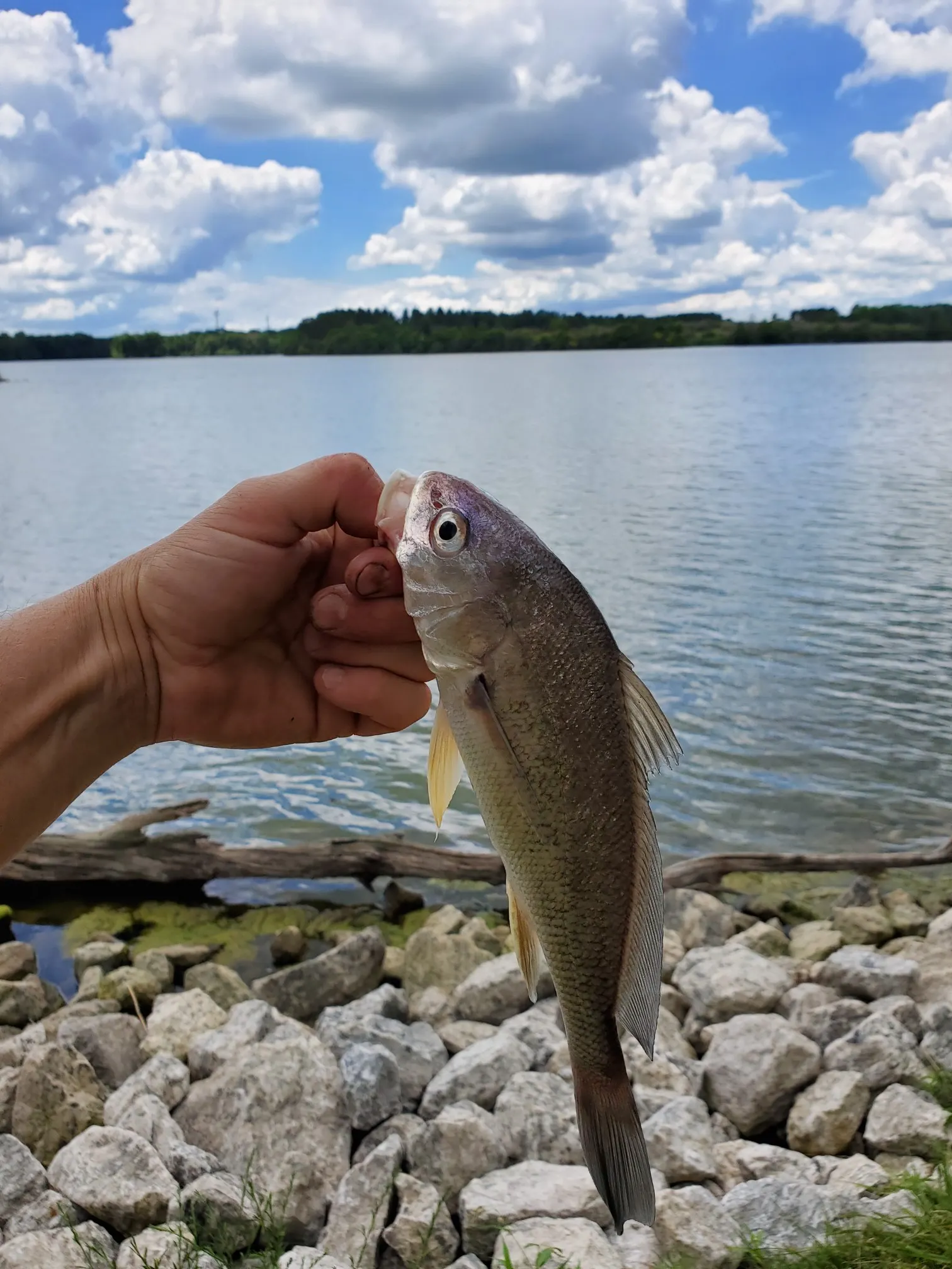 Post image from rkdkak