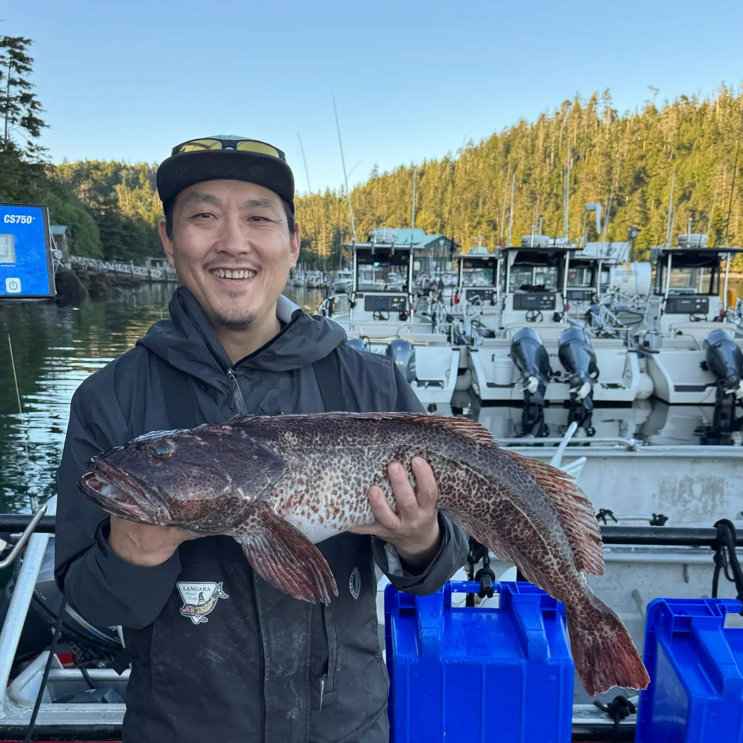The most recent Common ling catches on Fishbrain
