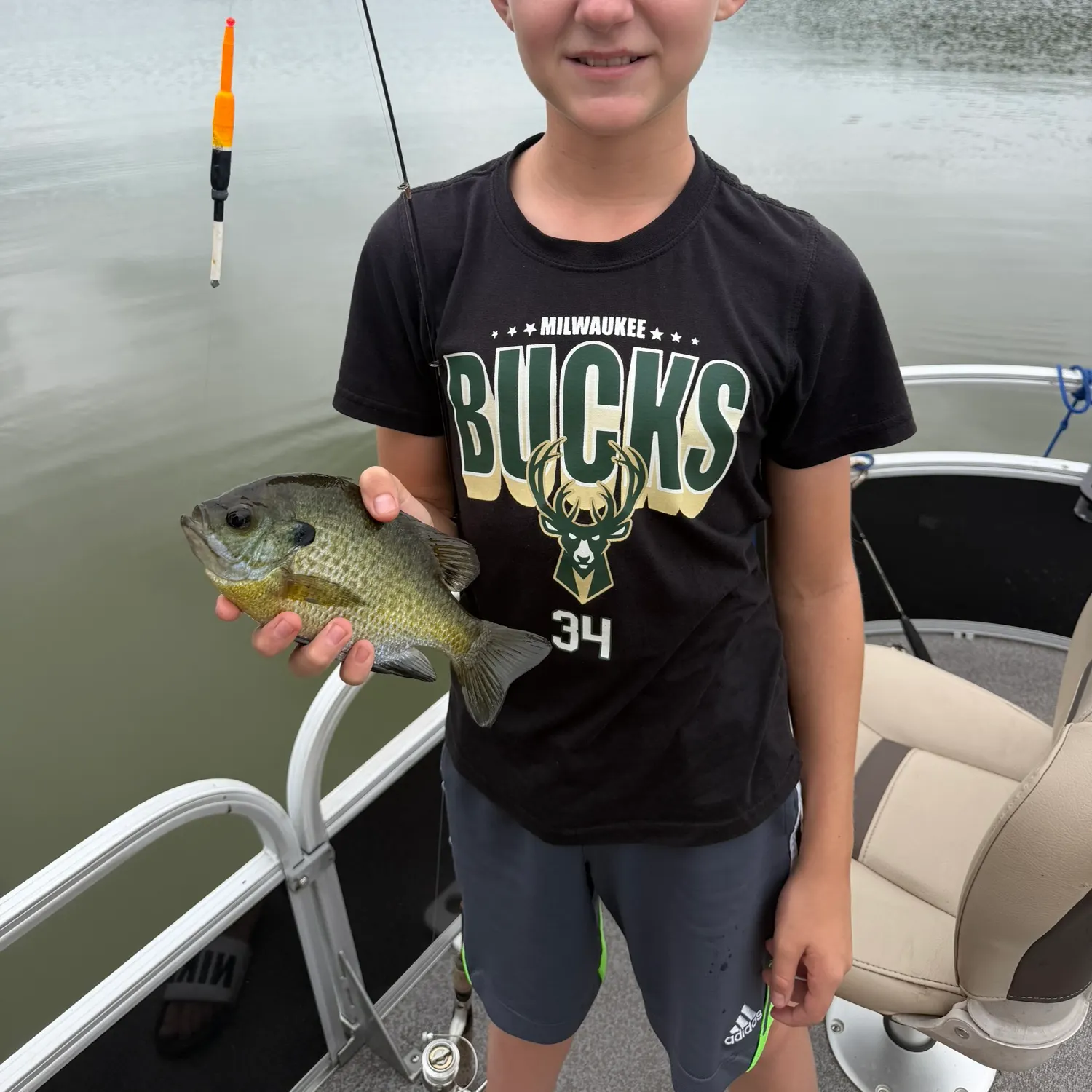 Bluegill caught on Fishbrain