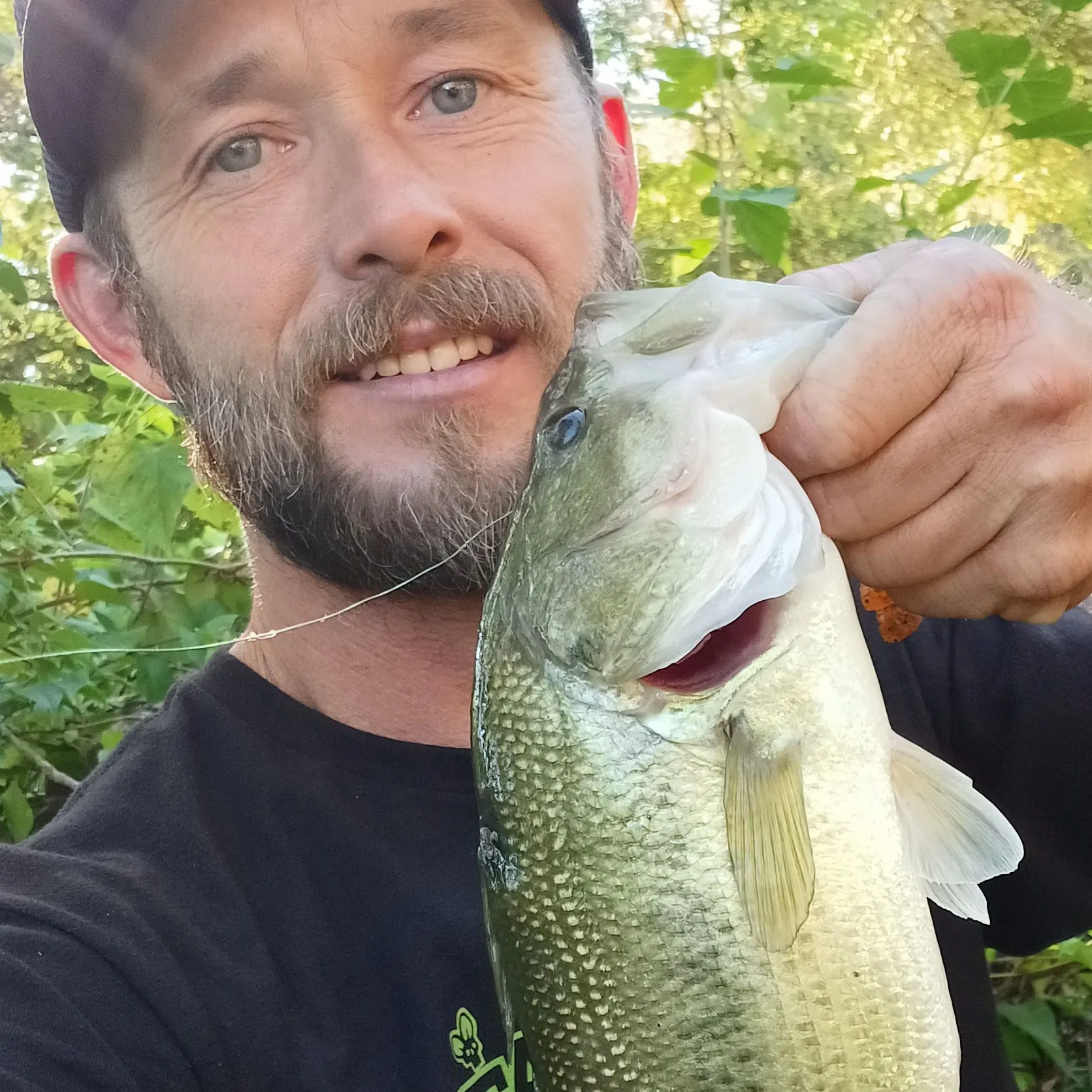 Largemouth bass caught on Fishbrain