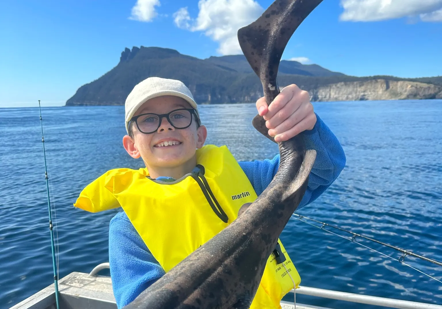 Spotted wobbegong