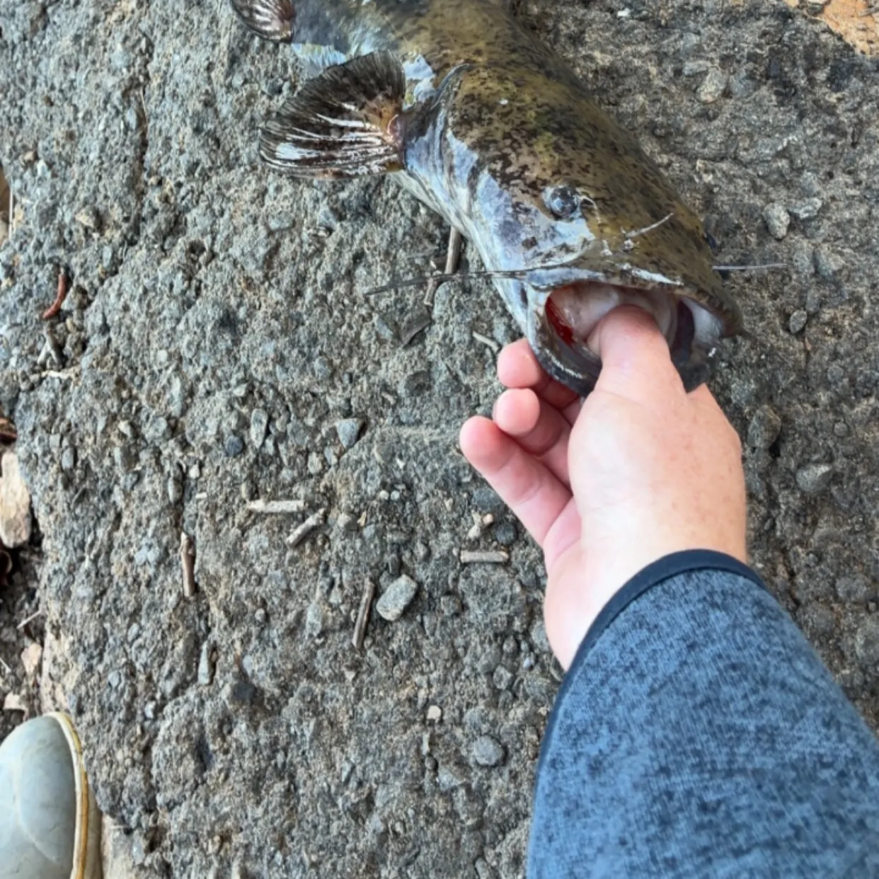 catch