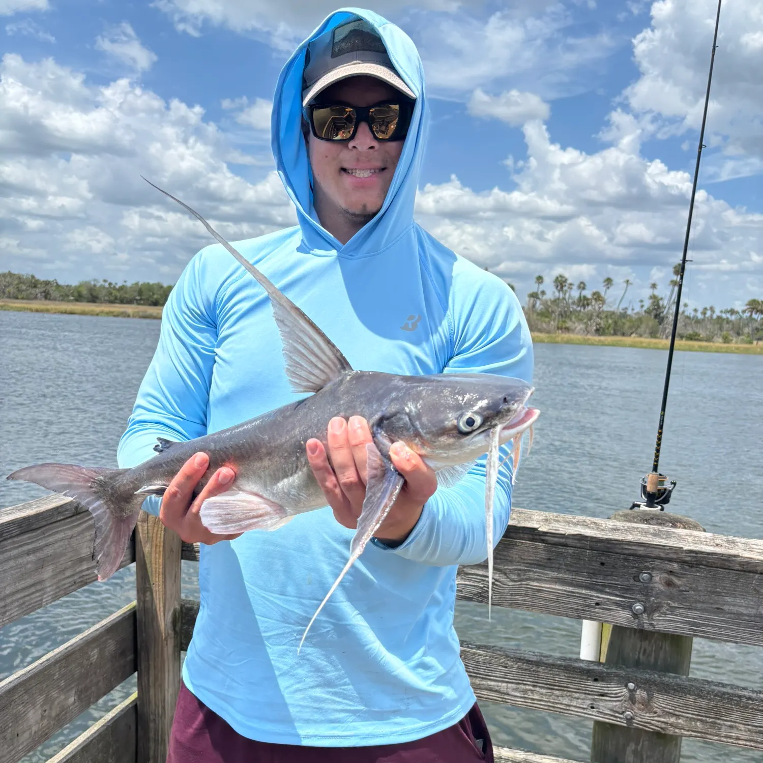 The most recent Gafftopsail sea catfish catches on Fishbrain