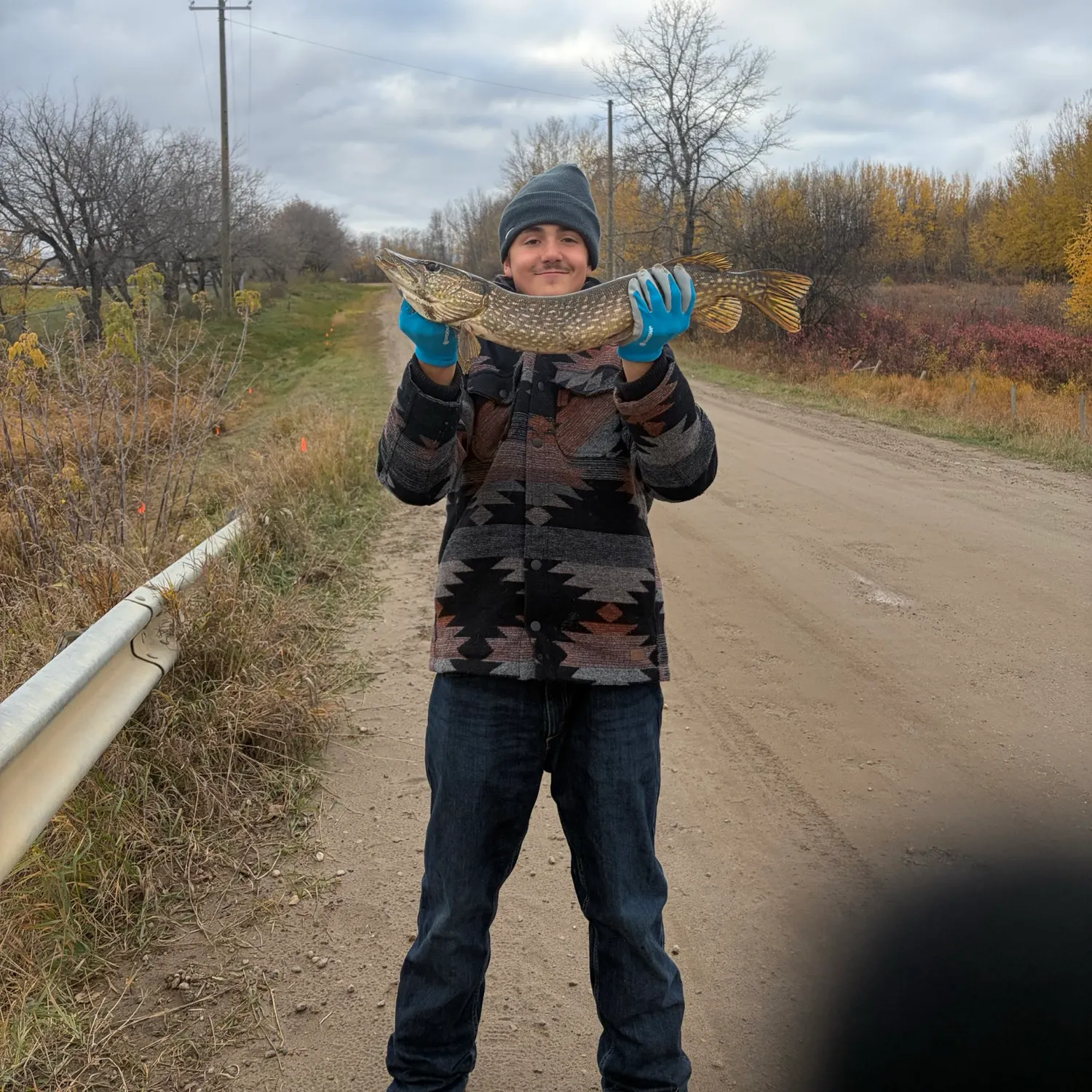Northern pike caught on Fishbrain