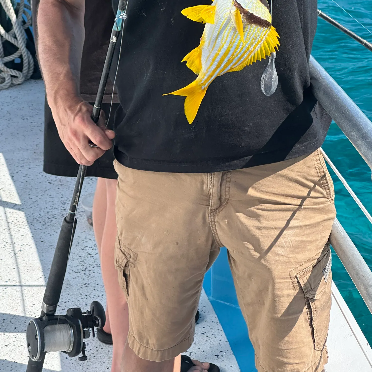 The most recent Panama porkfish catches on Fishbrain