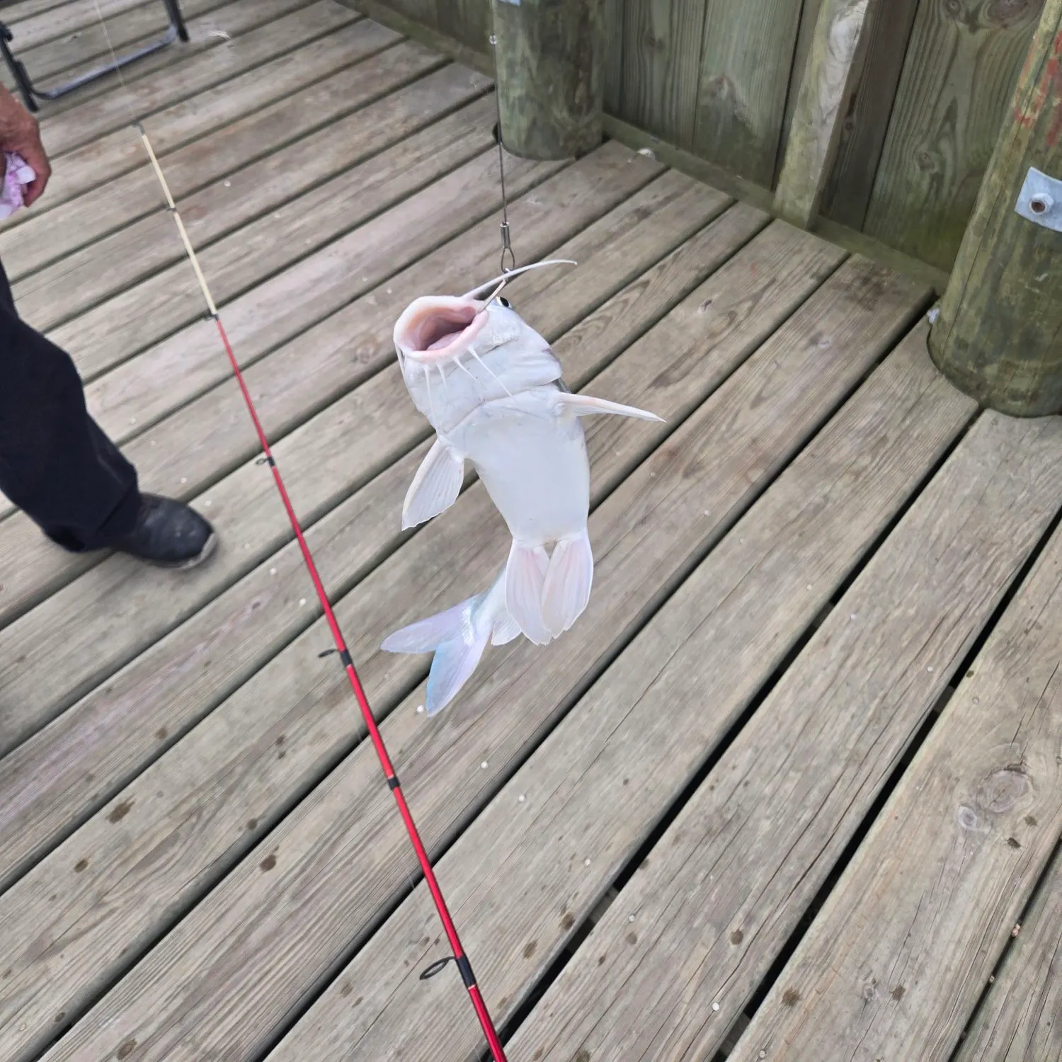 catch