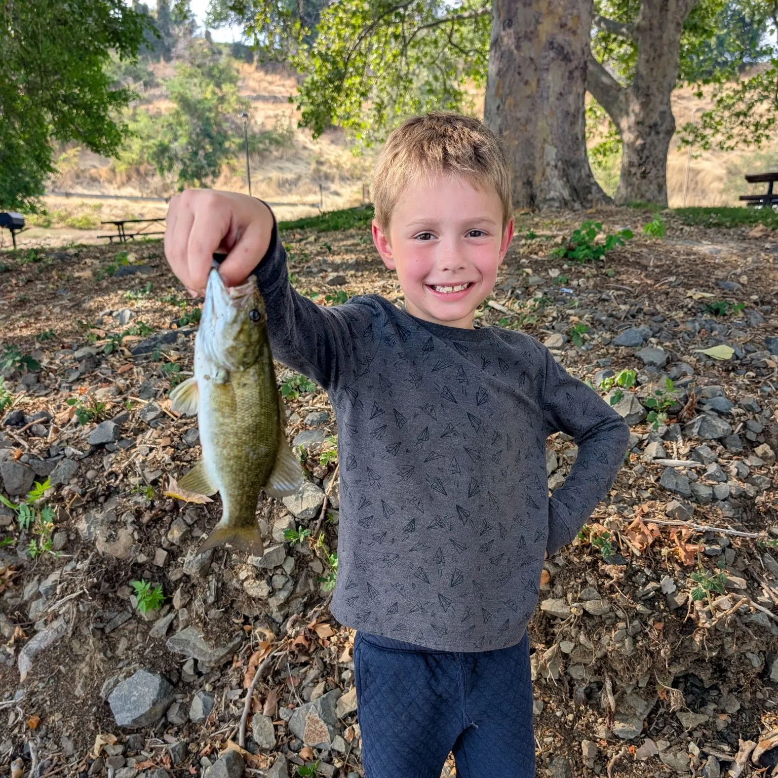 Smallmouth bass caught on Fishbrain