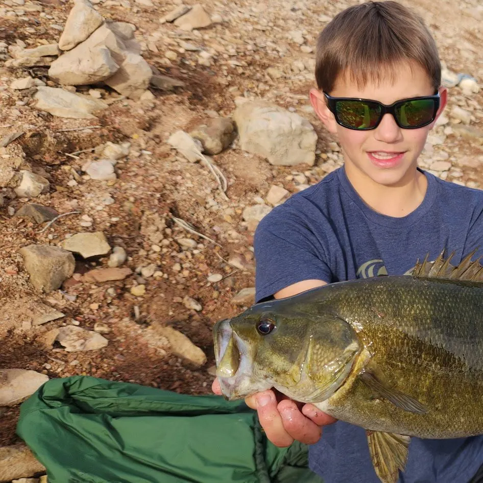 Smallmouth bass caught on Fishbrain