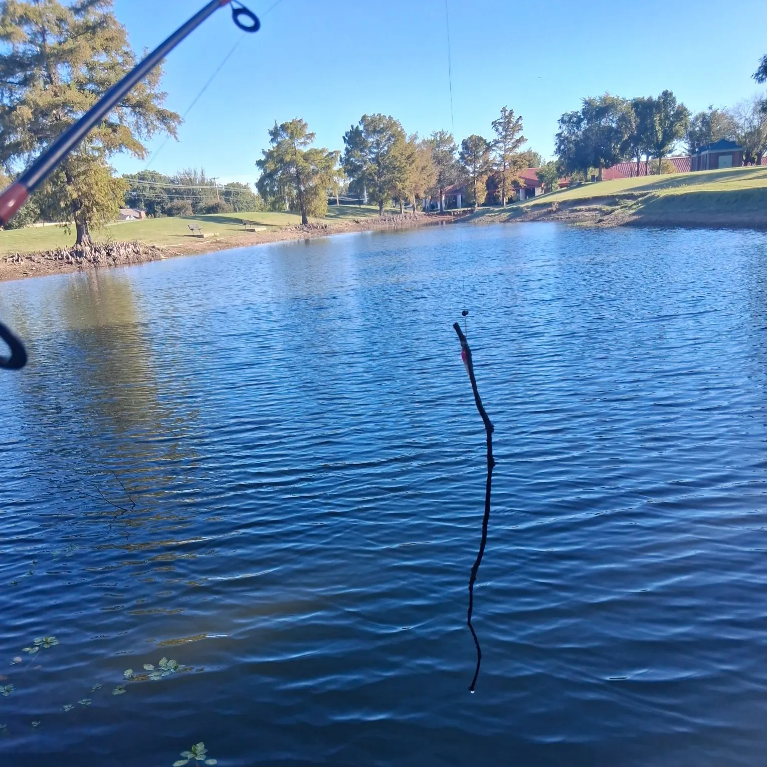 Fish caught on Fishbrain