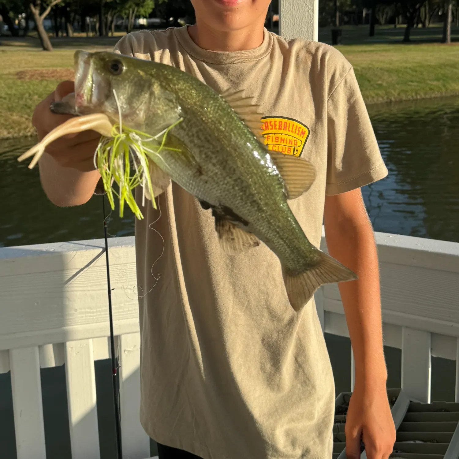 Largemouth bass caught on Fishbrain