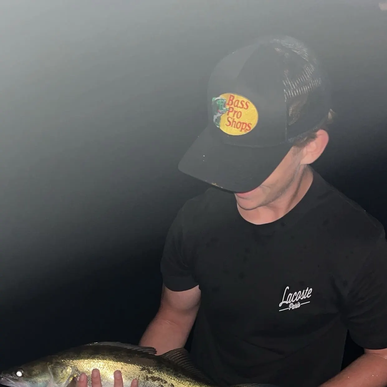 Zander caught on Fishbrain