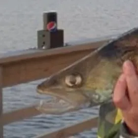 most liked catch image
