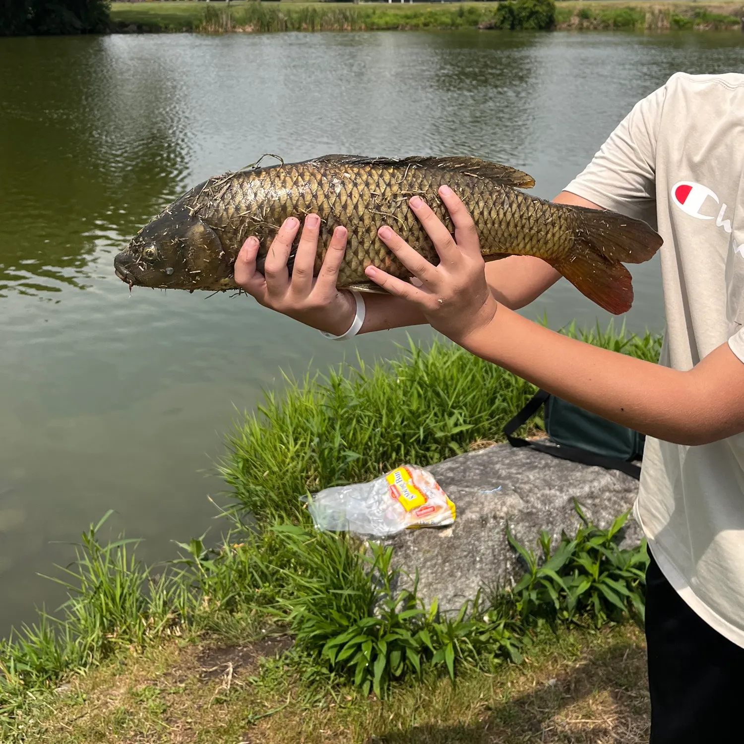 angler catch