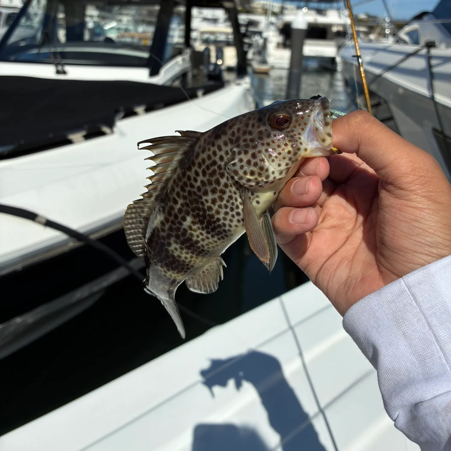 catch