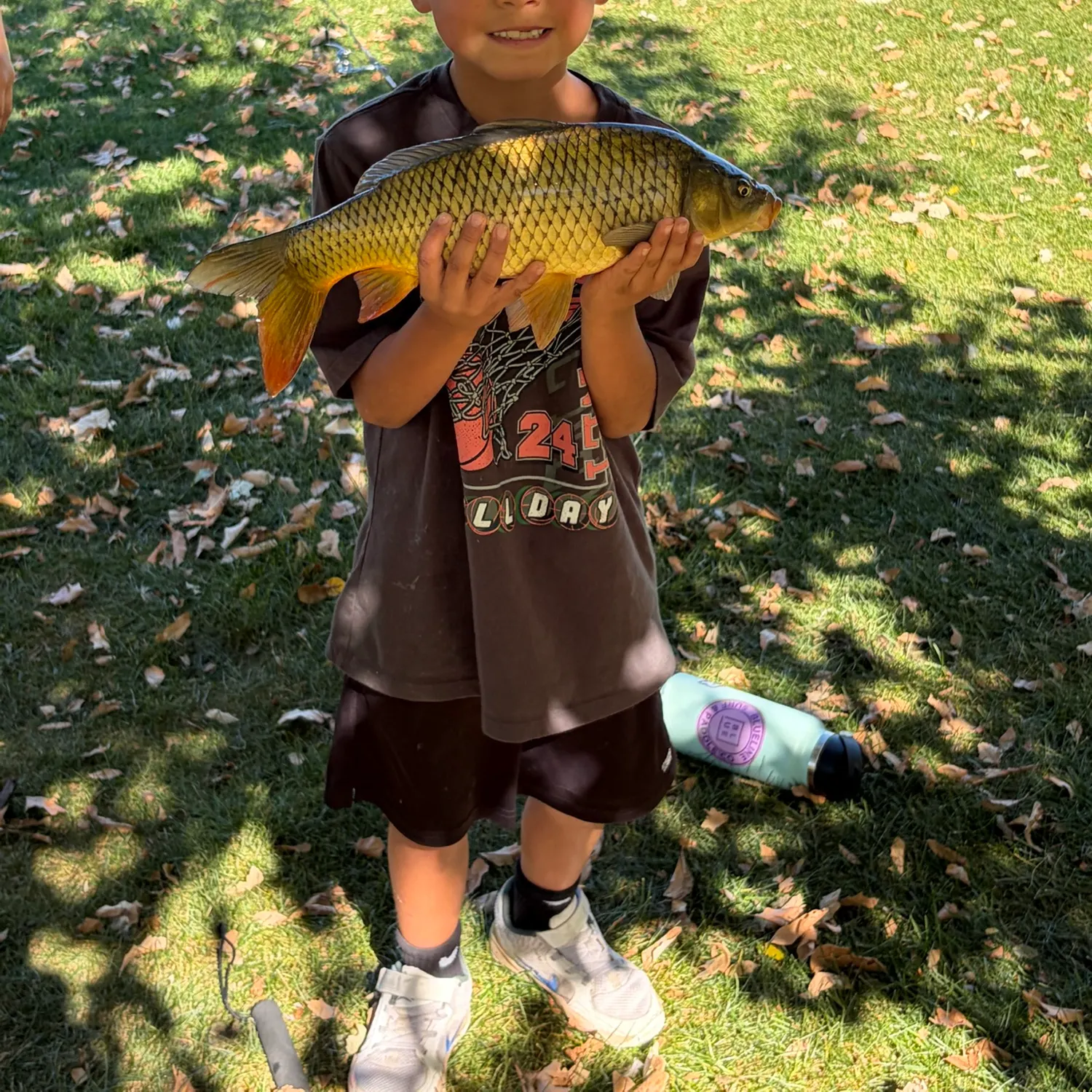 Common carp caught on Fishbrain