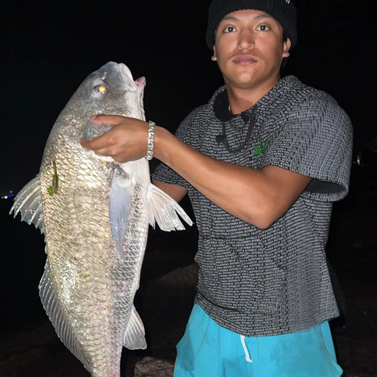 recently logged catches