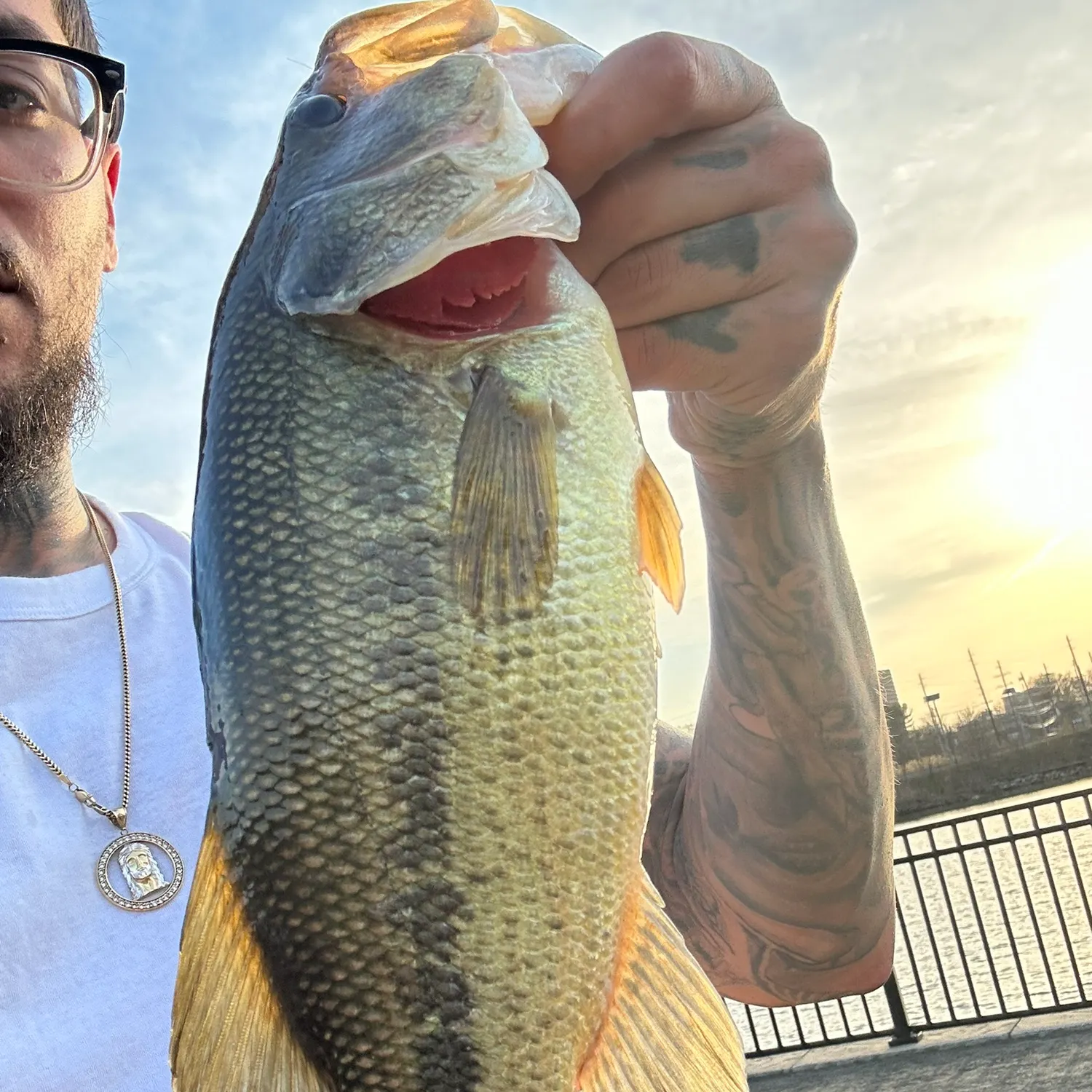 The most recent Largemouth bass catches on Fishbrain