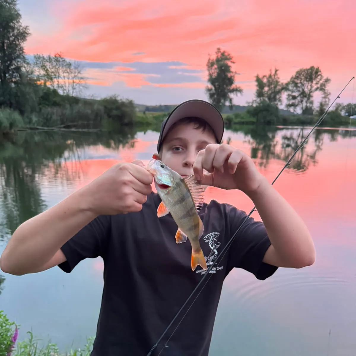 European perch caught on Fishbrain
