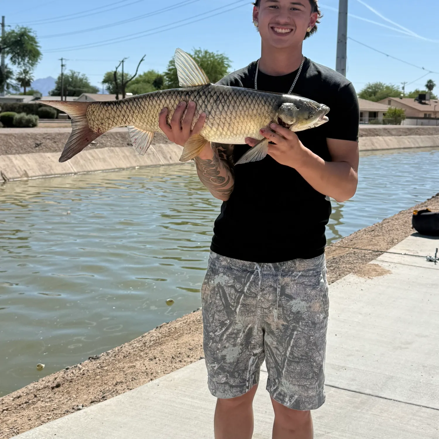 The most recent Grass carp catches on Fishbrain