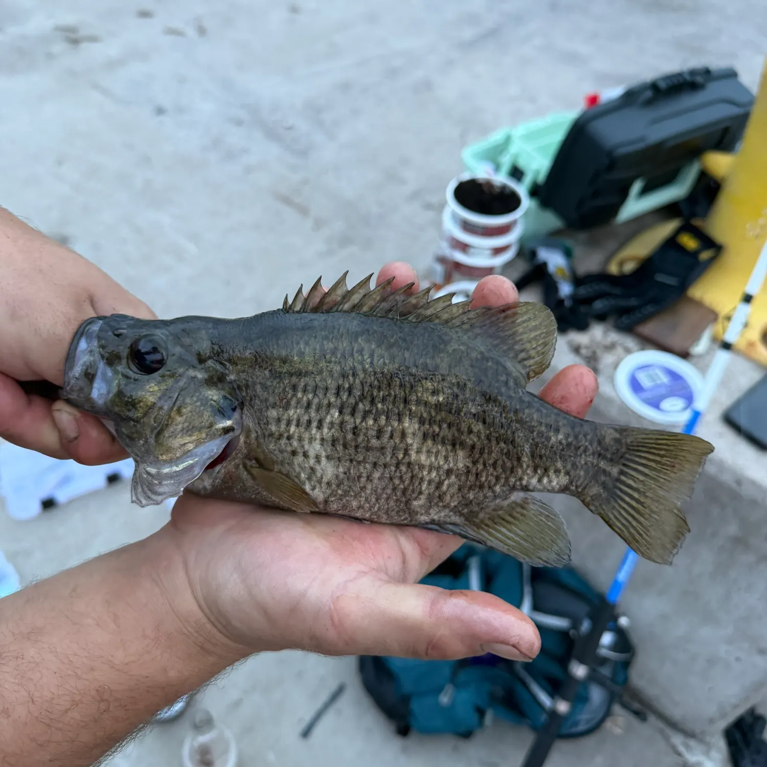 catch