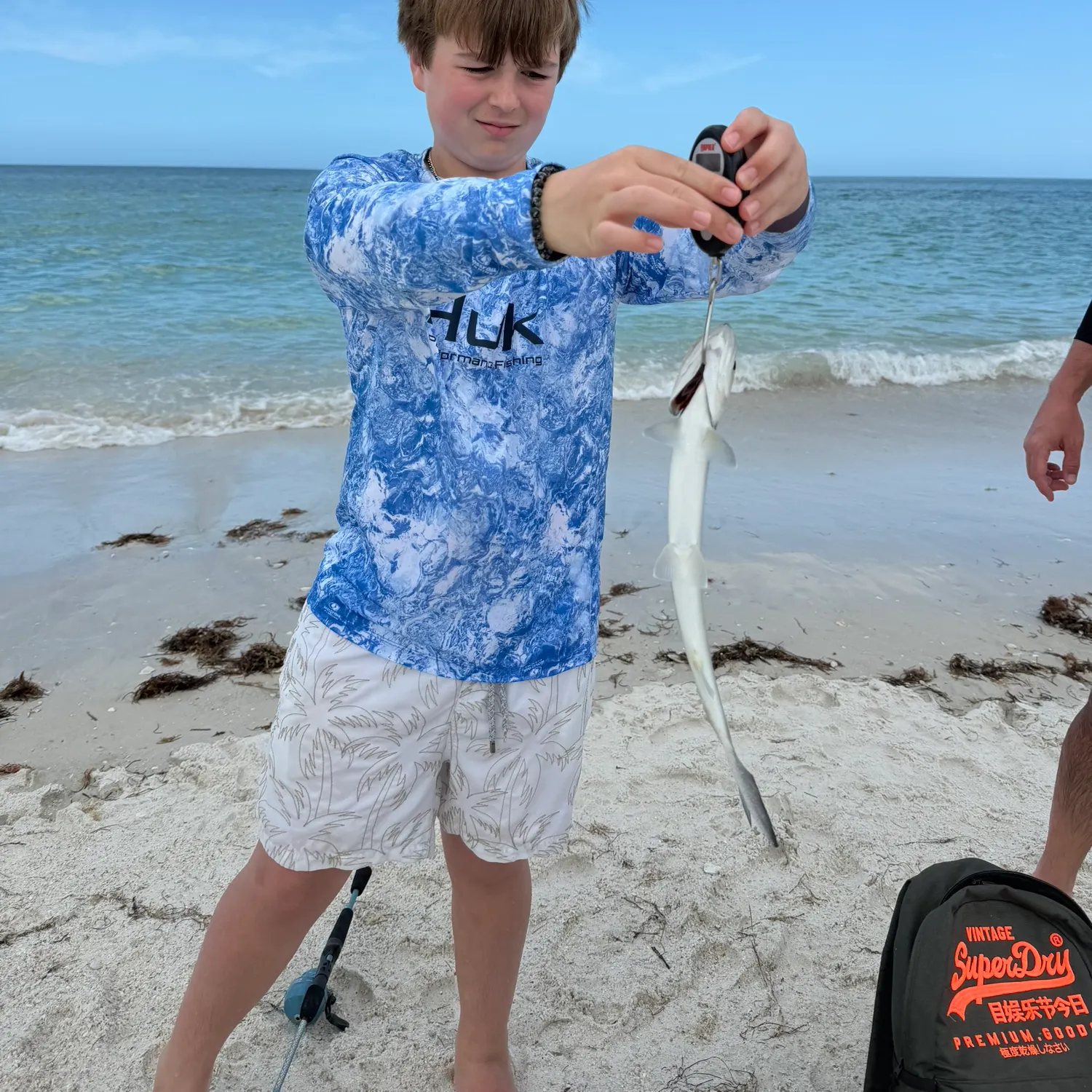 The most recent Ladyfish catches on Fishbrain