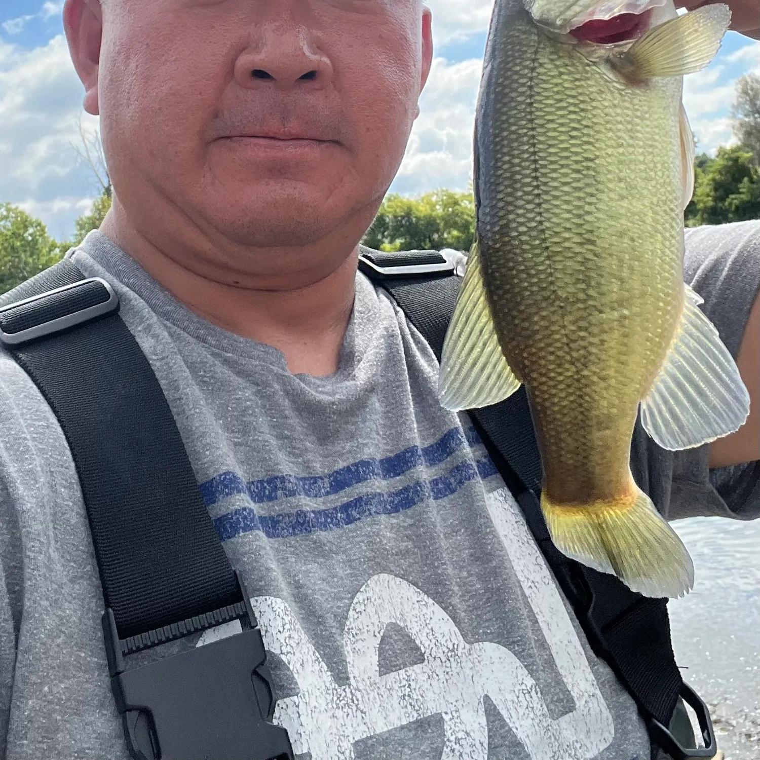 Largemouth bass caught on Fishbrain