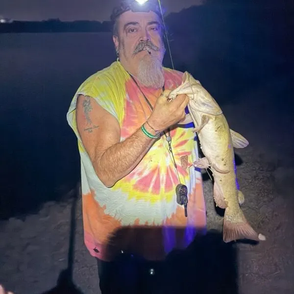 Fish caught on Fishbrain