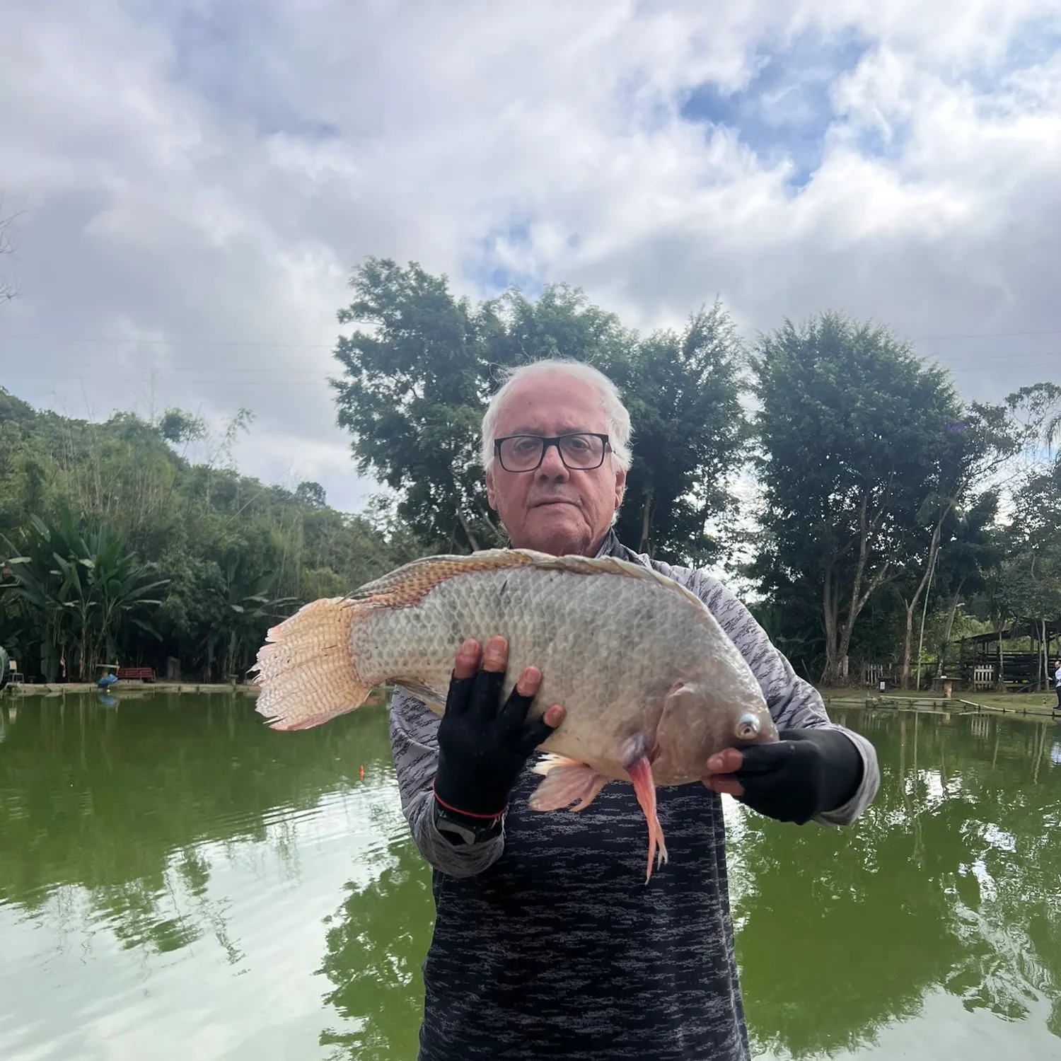 Nile tilapia caught on Fishbrain