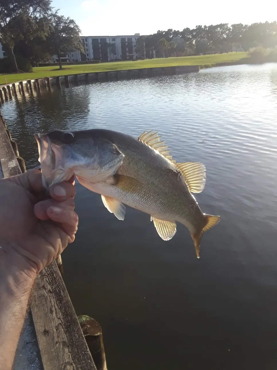 Post image from jacob.middleton