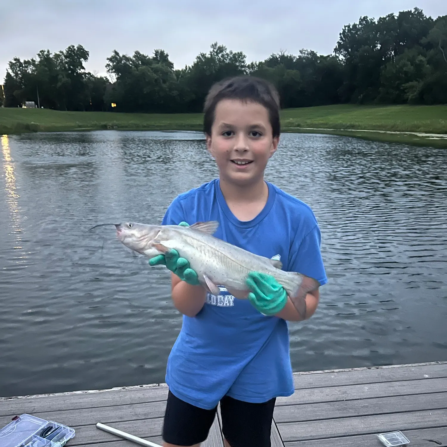 Channel catfish caught on Fishbrain