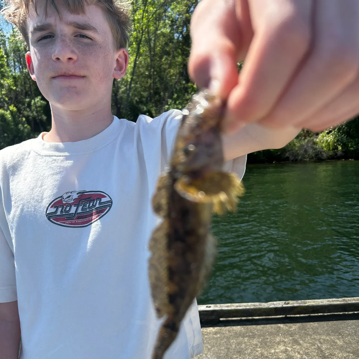The most recent Mottled sculpin catches on Fishbrain