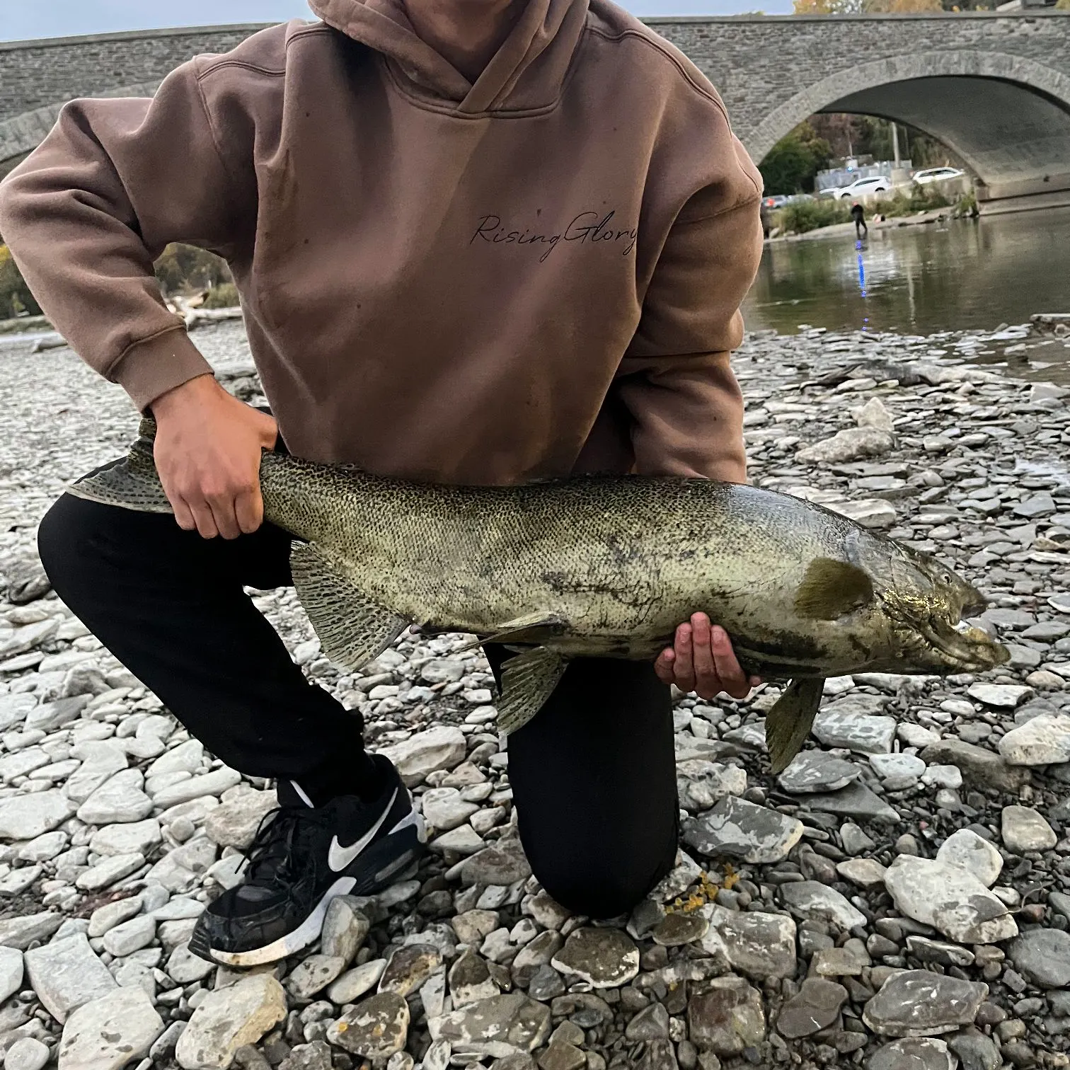 Chinook salmon caught on Fishbrain