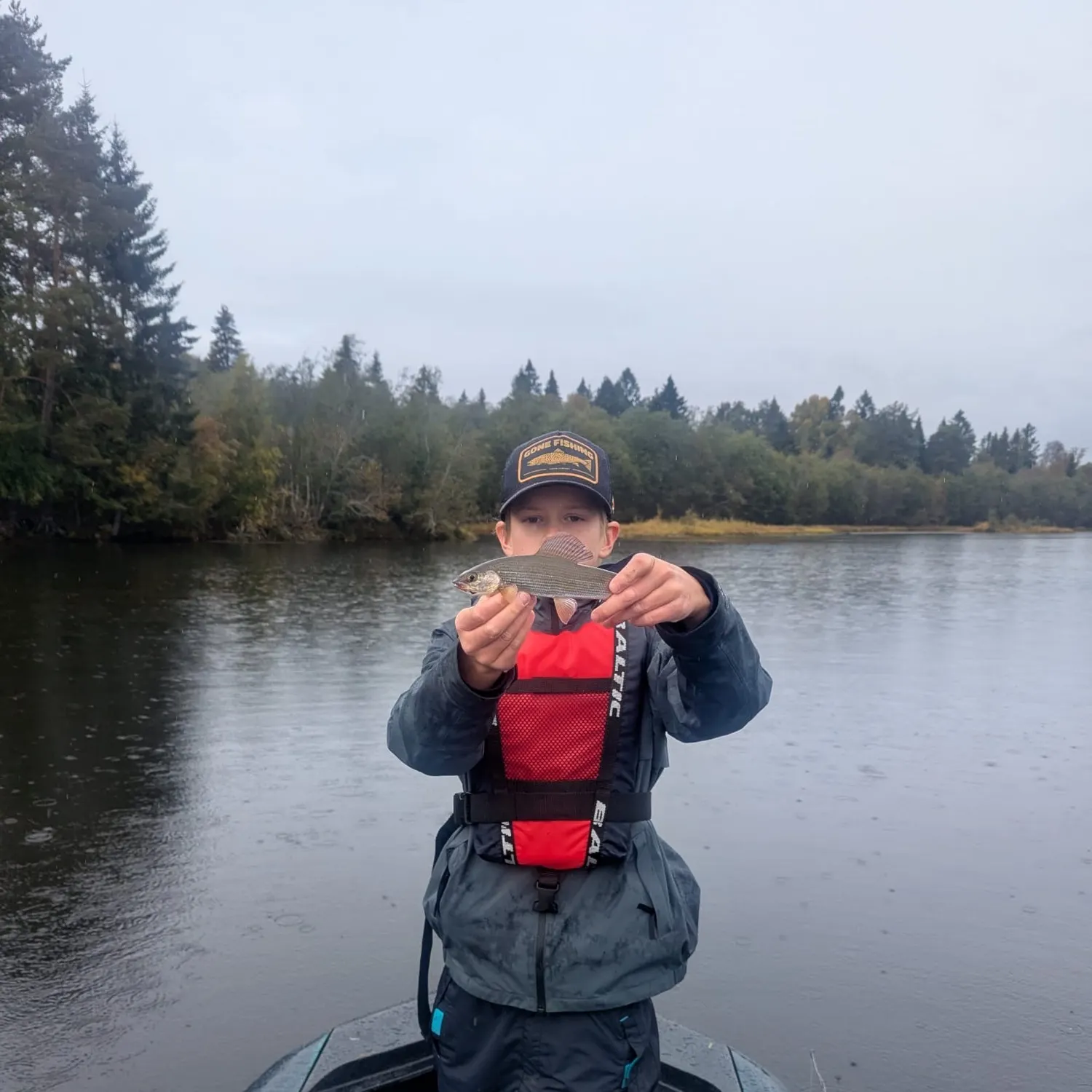 The most recent European grayling catches on Fishbrain