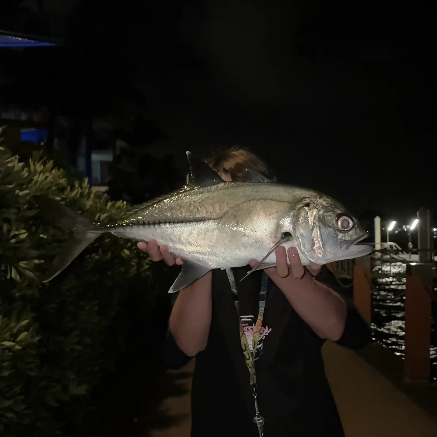 The most recent Bigeye trevally catches on Fishbrain