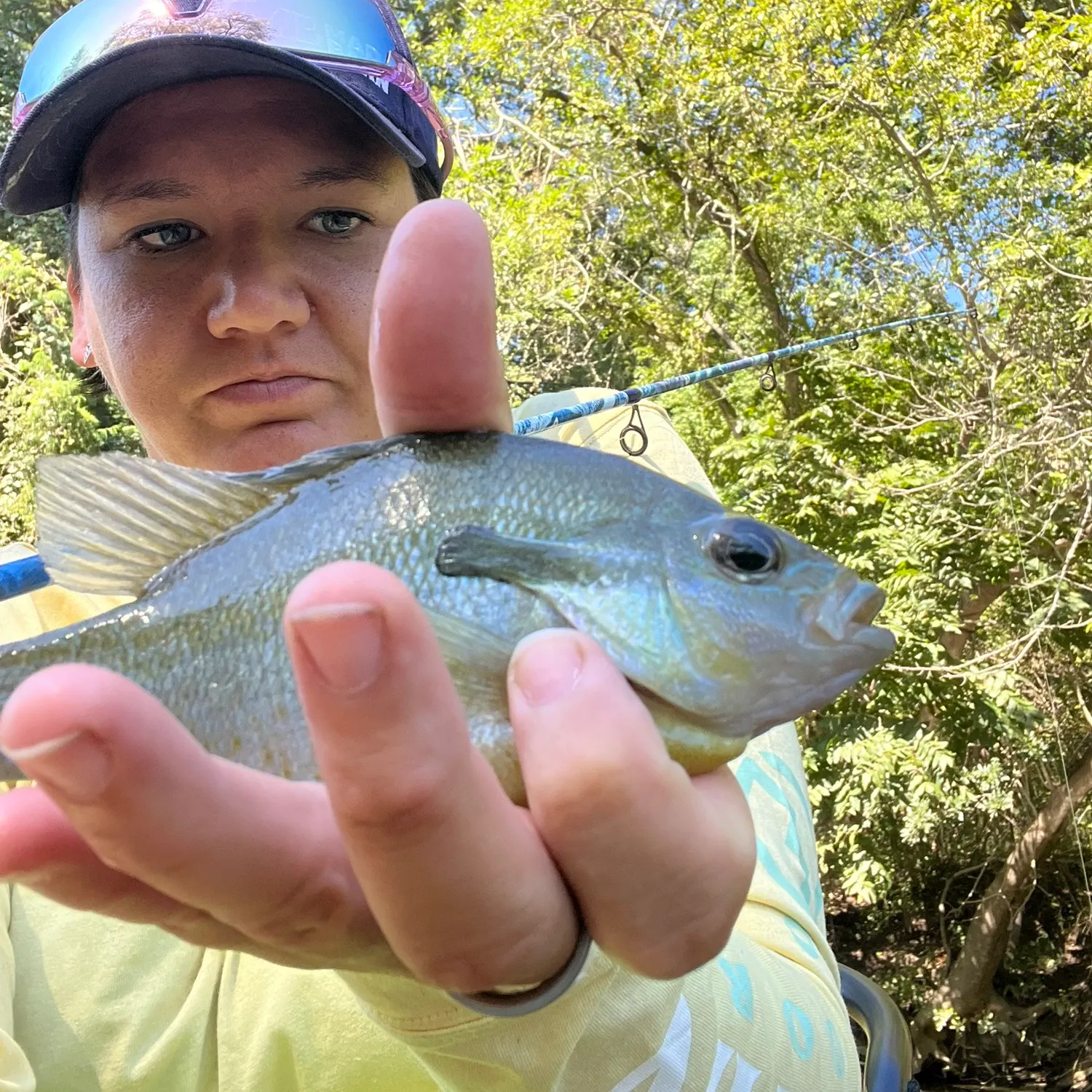 Bluegill caught on Fishbrain