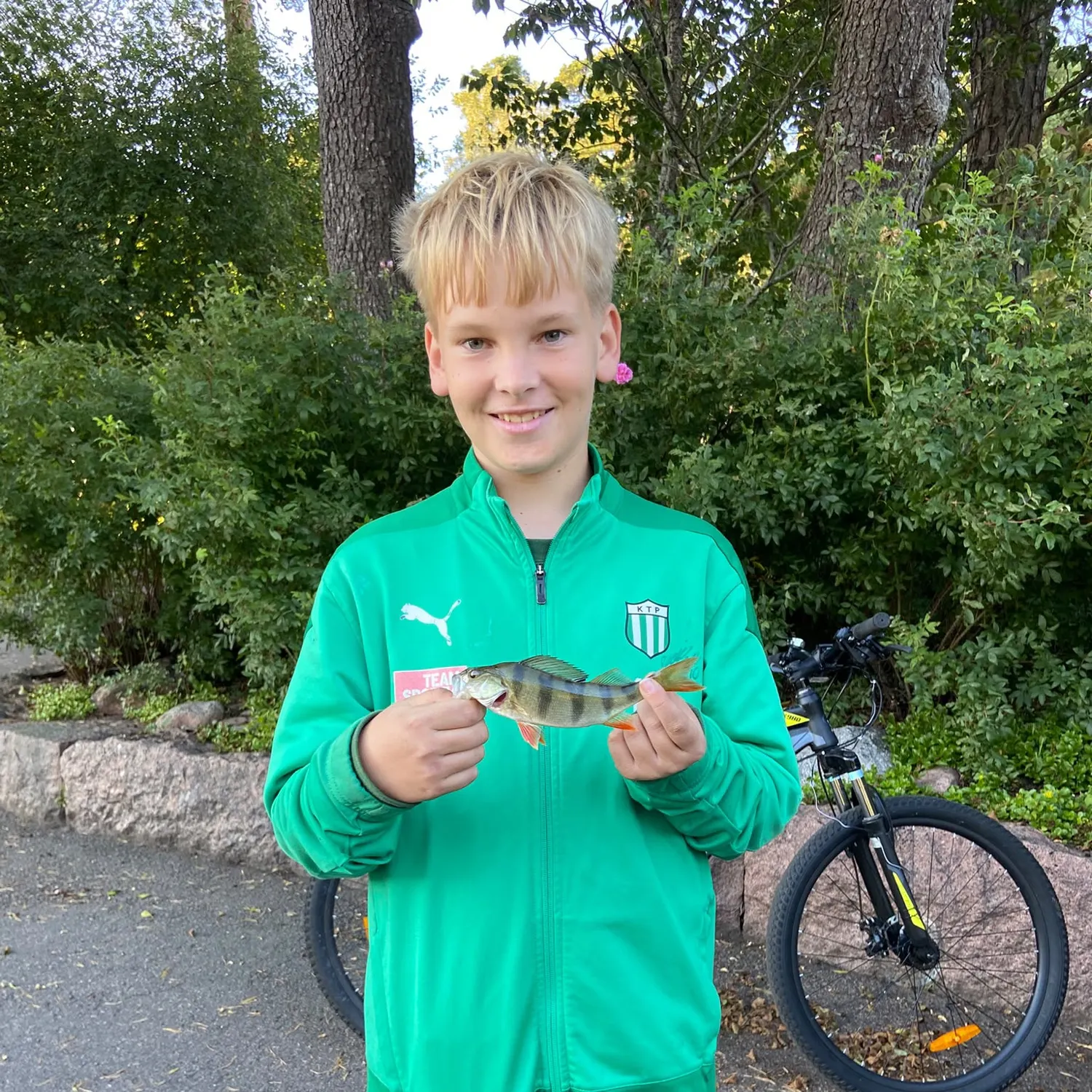 European perch caught on Fishbrain