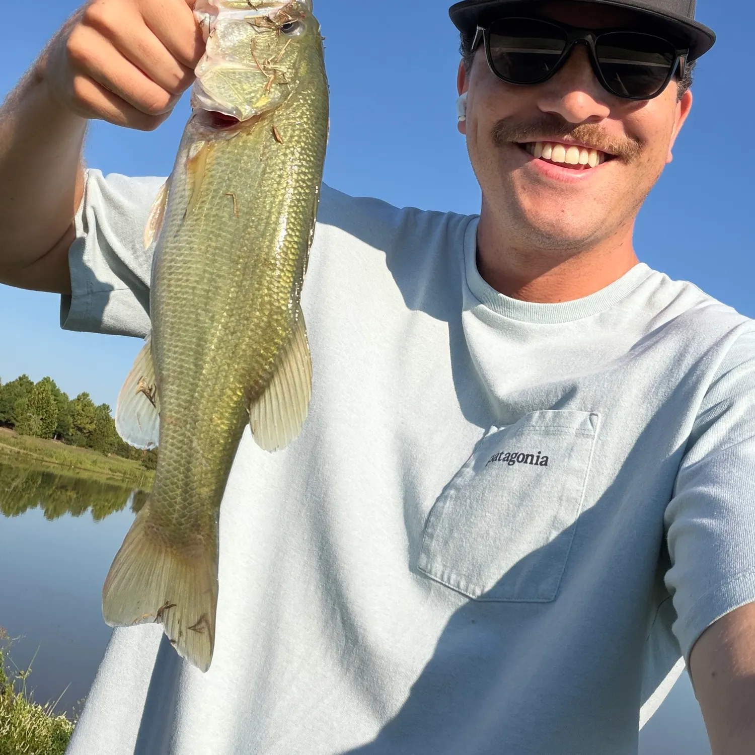 Largemouth bass caught on Fishbrain