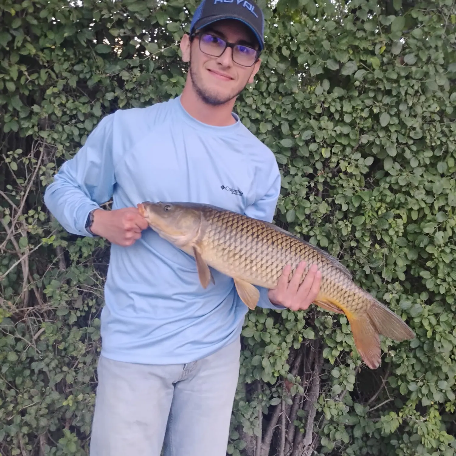Common carp caught on Fishbrain