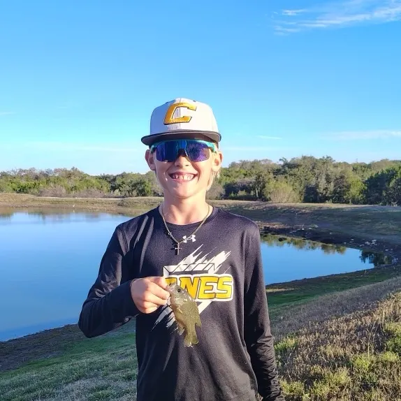 Greengill hybrid caught on Fishbrain