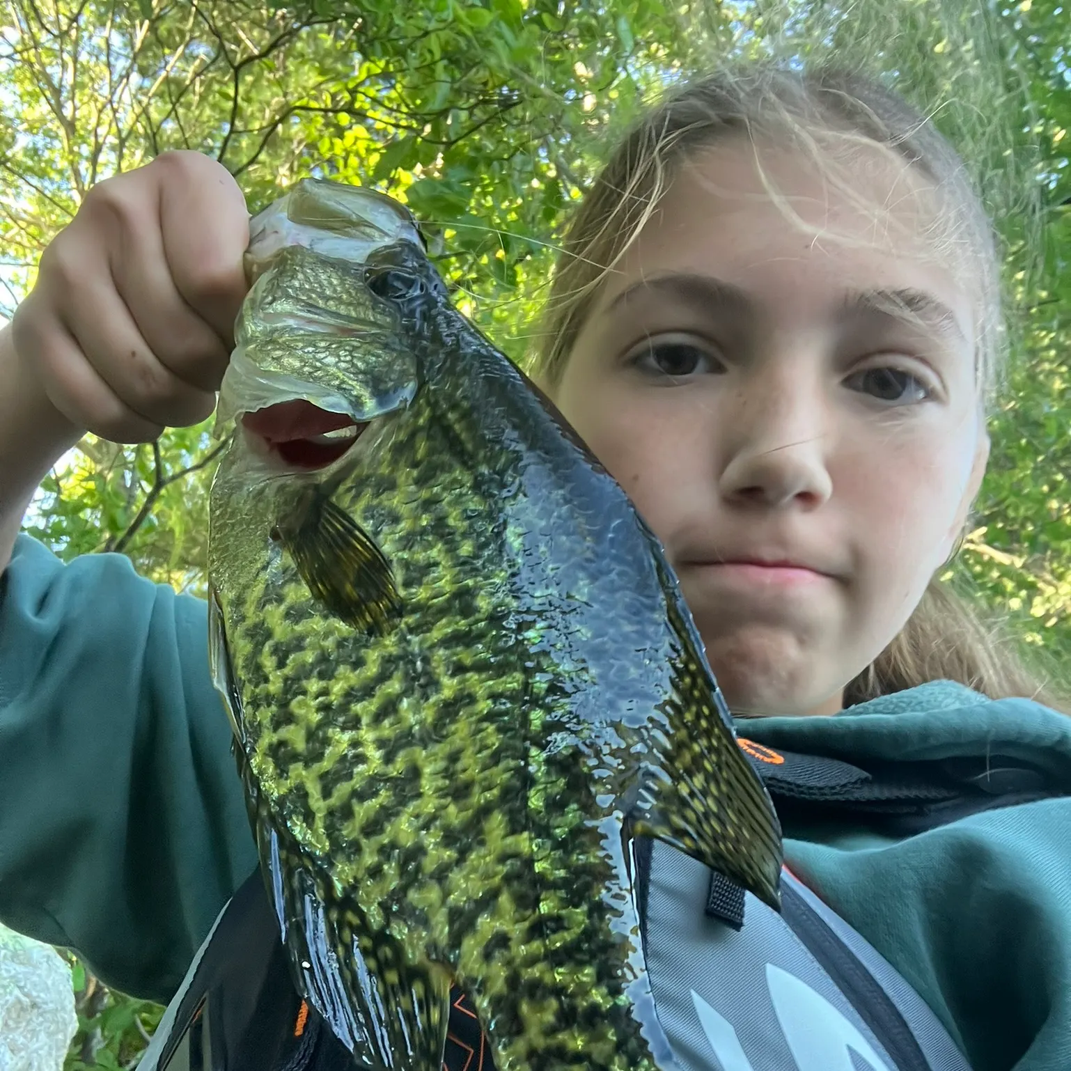 The most recent Magnolia crappie catches on Fishbrain