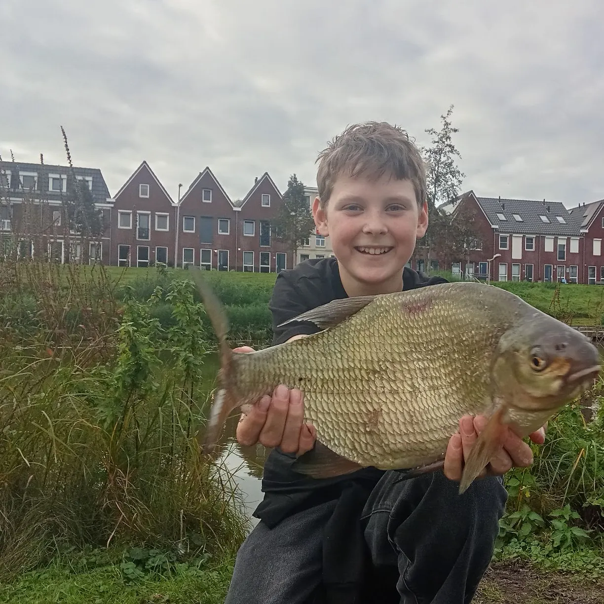 Common bream caught on Fishbrain