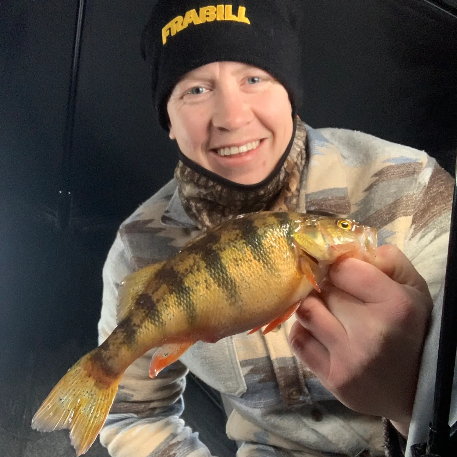 The most recent Yellow perch catches on Fishbrain