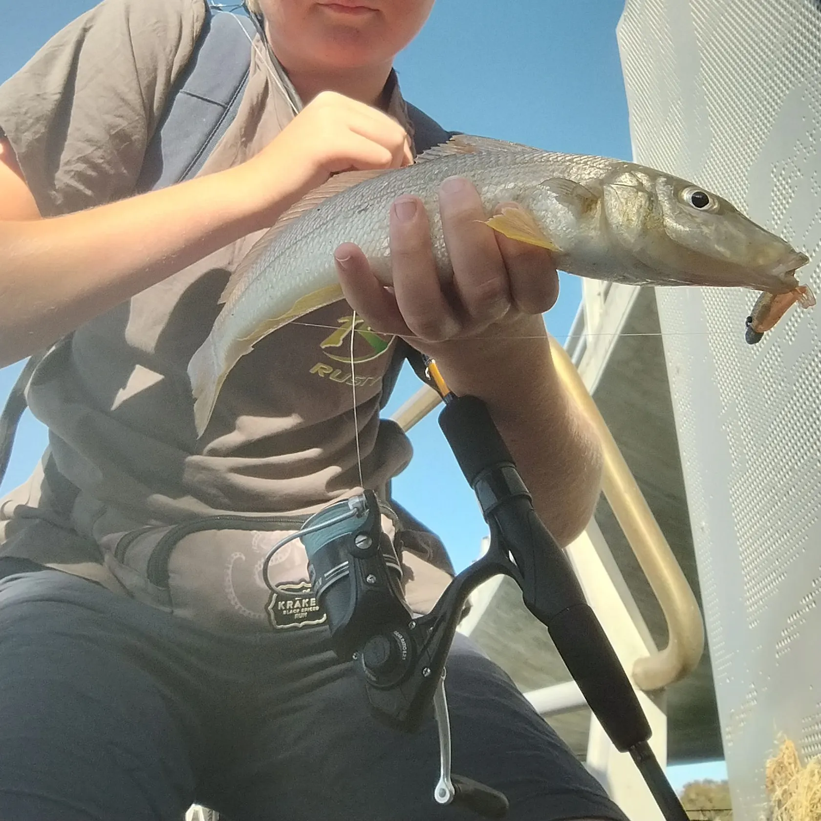 The most recent Sand sillago catches on Fishbrain