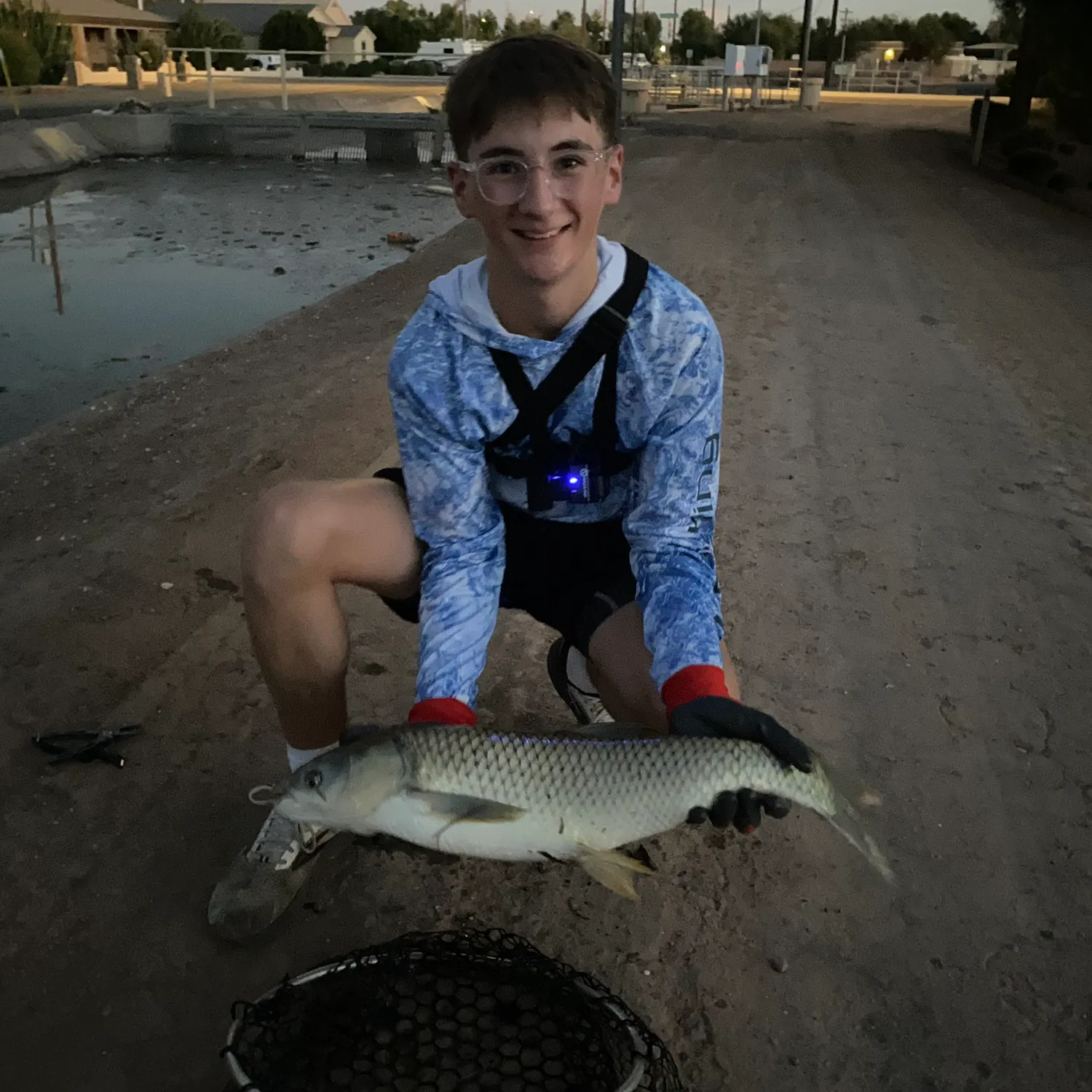 The most recent Grass carp catches on Fishbrain