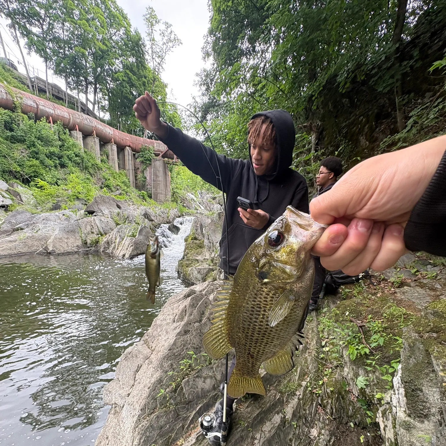 catch