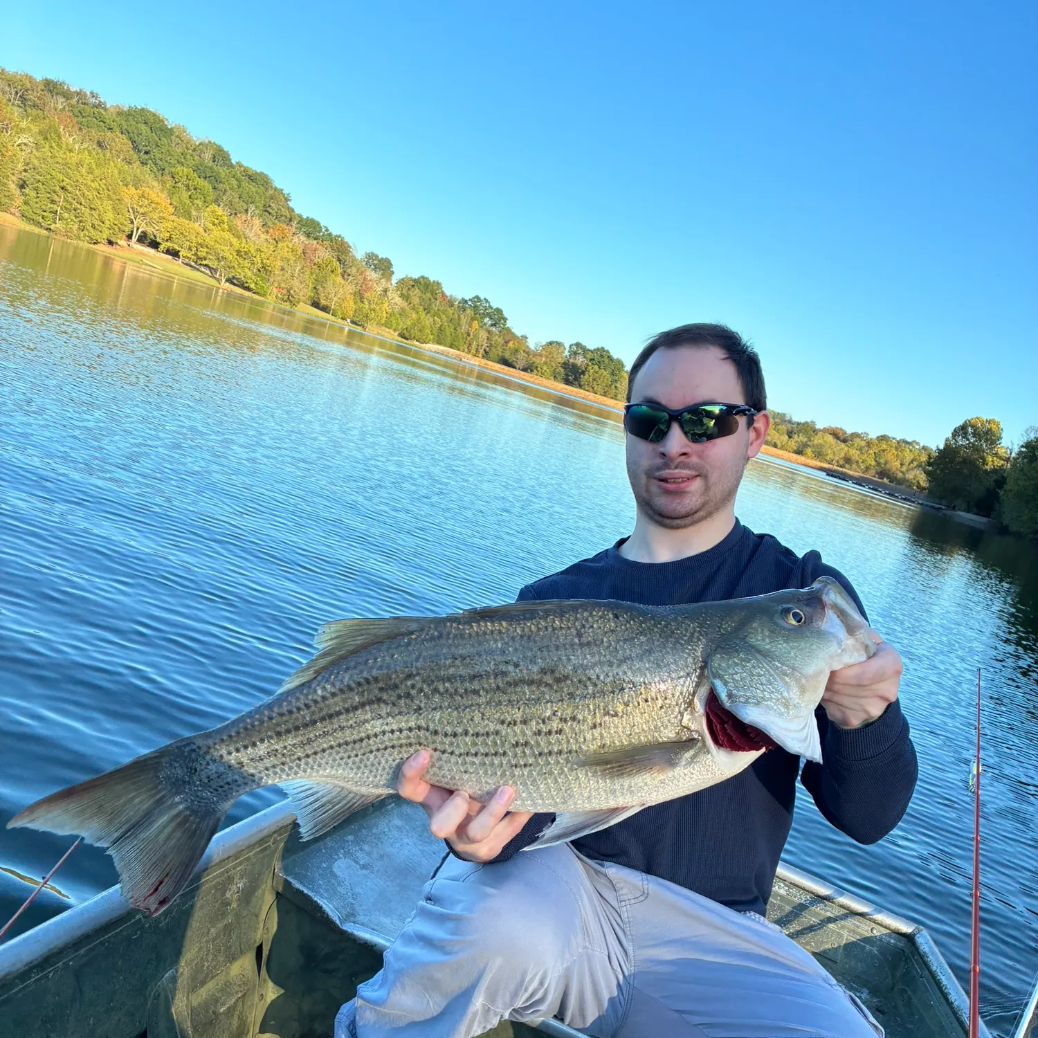 Wiper caught on Fishbrain